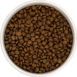 Anatra con patate dolci e arance - cane adulto piccola taglia - immagine 2