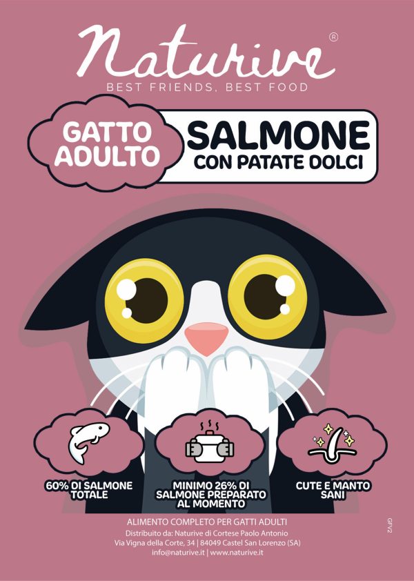 Salmone con patate dolci - gatto adulto