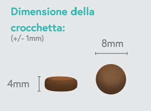 Tacchino con anatra, patate dolci, aneto e camomilla - cucciolo taglia piccola - immagine 3