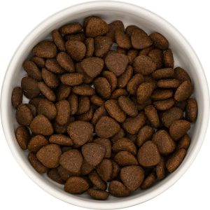 Anatra allevata responsabilmente con pastinaca, barbabietole, arance, asparagi e zucca - cane adulto - immagine 2