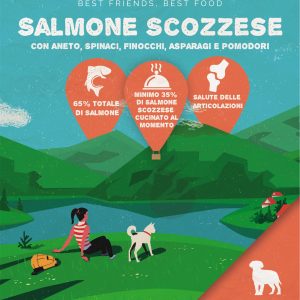 Salmone scozzese con spinaci, finocchi, asparagi e pomodori - cucciolo