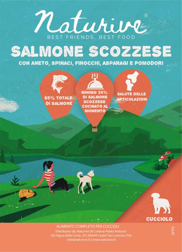 Salmone scozzese con spinaci, finocchi, asparagi e pomodori - cucciolo