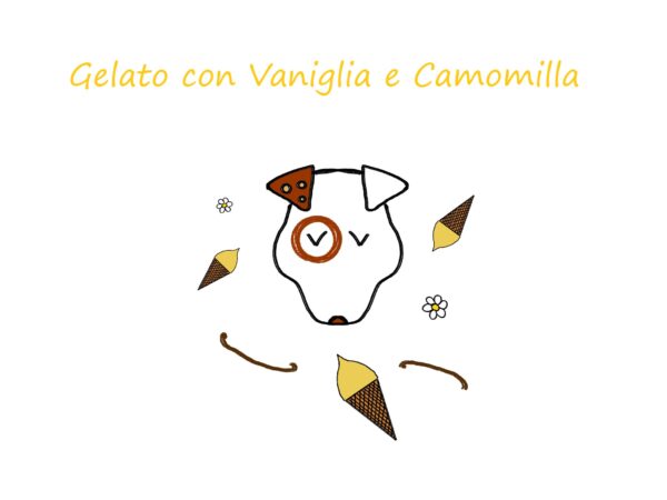 Gelato con vaniglia e camomilla 90 gr