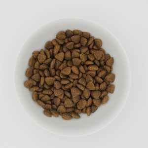Maiale Adult - Low Grain - immagine 3