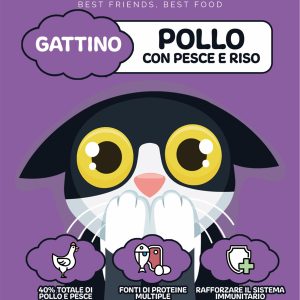Pollo con pesce e riso - gattino