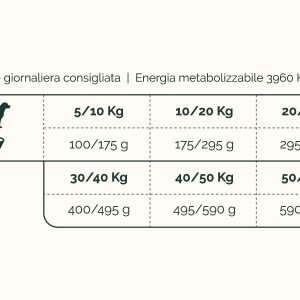 Alta Energia - Premium - immagine 2