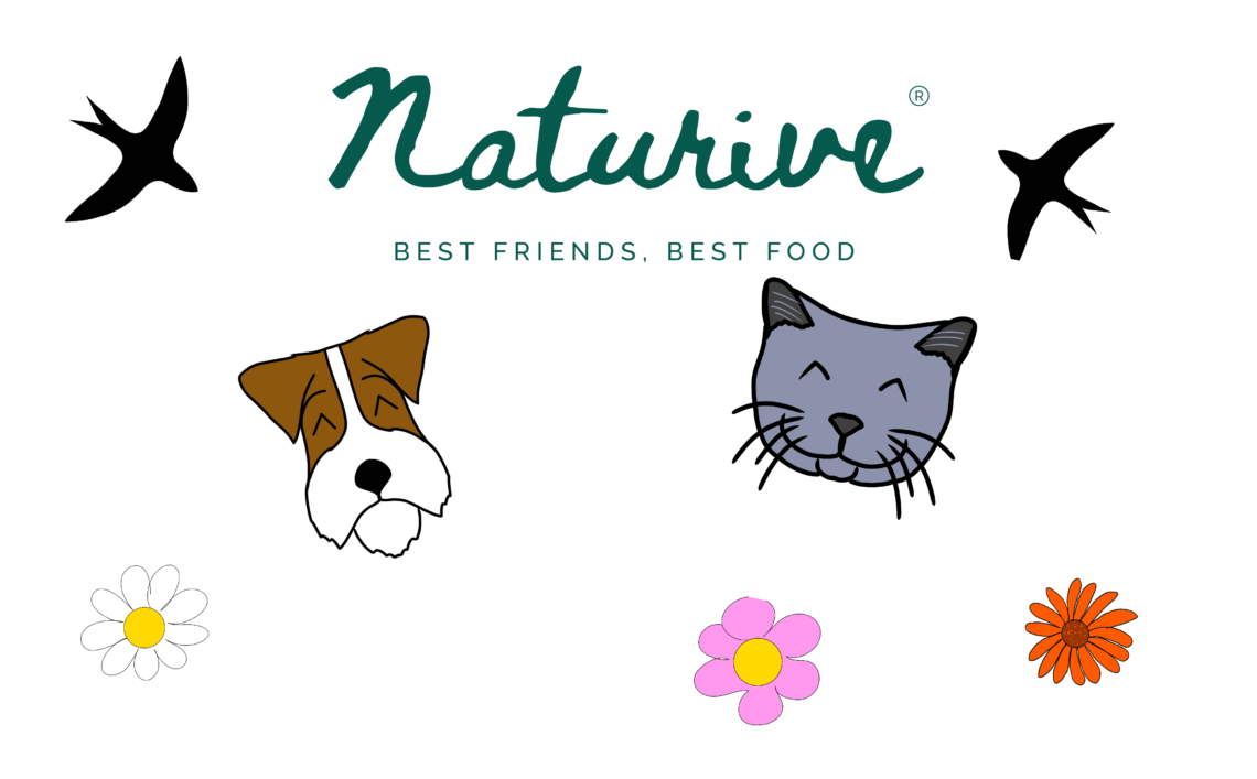 Naturive - best friends, best food